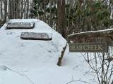 0000 Lot 78 Black Bear Crossing - Photo 4