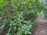 LOT 2 Pine Ridge Road - Photo 2
