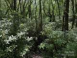Lot #60 Yonder Trail - Photo 10