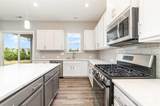 10024 Fox Trotter Lane - Photo 19