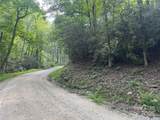 00 Rich Mountain Road - Photo 2
