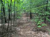 00 Rich Mountain Road - Photo 14