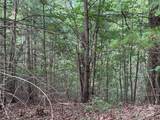 00 Rich Mountain Road - Photo 15