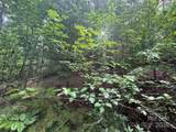 00 Rich Mountain Road - Photo 17