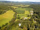 239 Three Mile Knob Road - Photo 47