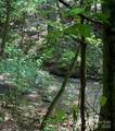 00 Hundred Acres Lane - Photo 18