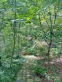 163 Gypsy Mountain Road - Photo 41