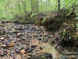 0 Camp Mccall Road - Photo 13