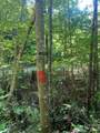 0 Camp Mccall Road - Photo 20