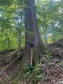 0 Camp Mccall Road - Photo 24