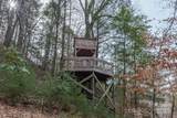LOT 46 Black Forest Drive - Photo 24
