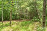 LOT 46 Black Forest Drive - Photo 8