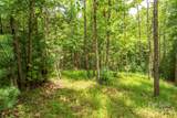 LOT 46 Black Forest Drive - Photo 9