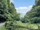 00 Trickle Creek Road - Photo 9