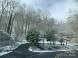 1145 Bearwallow Mountain Road - Photo 46