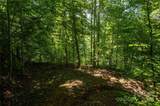 112 Hawks Nest Ridge - Photo 39