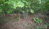 Lot 84 Smoothstem Court - Photo 7