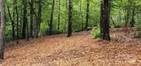 LOT 3 Cross Creek Trail - Photo 13