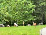 00 Deep Gap Road - Photo 11