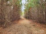 2351 Reges Store Road - Photo 17