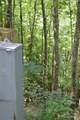 TBD Hideaway Ridge Trail - Photo 8
