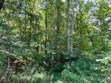 Lot 3B Broad River Highlands Drive - Photo 12