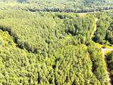 Lot 3B Broad River Highlands Drive - Photo 14