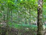 Lot 3B Broad River Highlands Drive - Photo 17