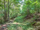 Lot 3B Broad River Highlands Drive - Photo 22