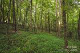 00 Johnson Ridge Road - Photo 19