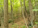 Lot 64 Hawks Nest Drive - Photo 11