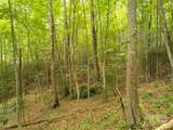 Lot 64 Hawks Nest Drive - Photo 13