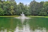 4713 Hanging Ivy Drive - Photo 43