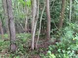 Lot 26 Zinzendorf Lane - Photo 16