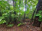 TBD Rumbling Bald Road - Photo 16