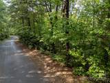 TBD Rumbling Bald Road - Photo 21