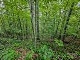 TBD Rumbling Bald Road - Photo 5
