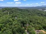 Lot 21 Hawks Nest Trail - Photo 21
