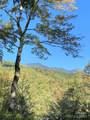 19 High Terrain Drive - Photo 48