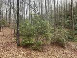 999 Panther Gap Road - Photo 3