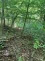 TBD Grapevine Road - Photo 22