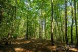 TBD Winklers Way Road - Photo 11