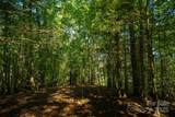 TBD Winklers Way Road - Photo 16
