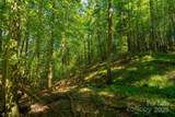 TBD Winklers Way Road - Photo 28