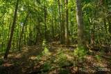 TBD Winklers Way Road - Photo 35