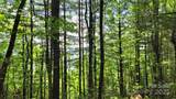 TBD Frozen Creek Road - Photo 25