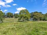 410 Freeman Street - Photo 12