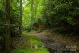 TBD Phipps Dairy Road - Photo 21