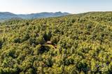 805 Deer Crossing Lane - Photo 14