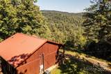 805 Deer Crossing Lane - Photo 7